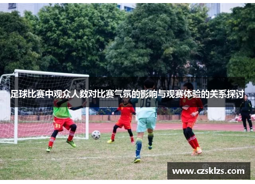 足球比赛中观众人数对比赛气氛的影响与观赛体验的关系探讨
